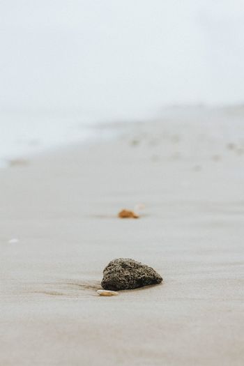Little rock at the beach