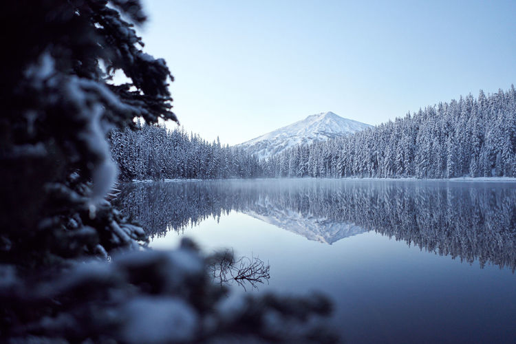 Snowy mountain reflecting in lake with trees in foreground