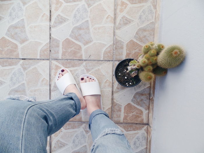 Low section of woman standing by potted cactus on floor at home