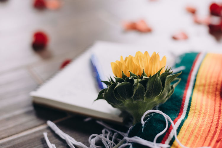 Close up of sunflower during spiritual ceremony in mexico