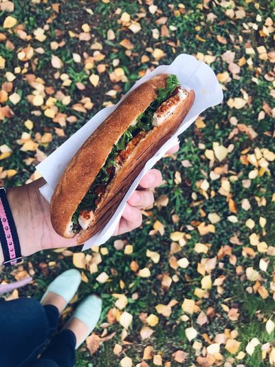 High angle view of person hand holding food