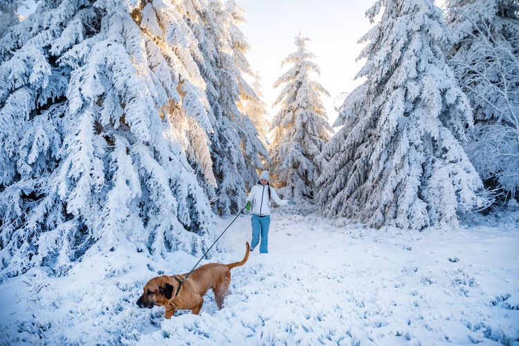 Woman with dog by snow covered trees on land against sky