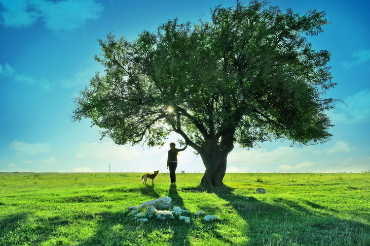 A beautiful girl with her pet dog under a big beautiful tree - with beautiful seenary.