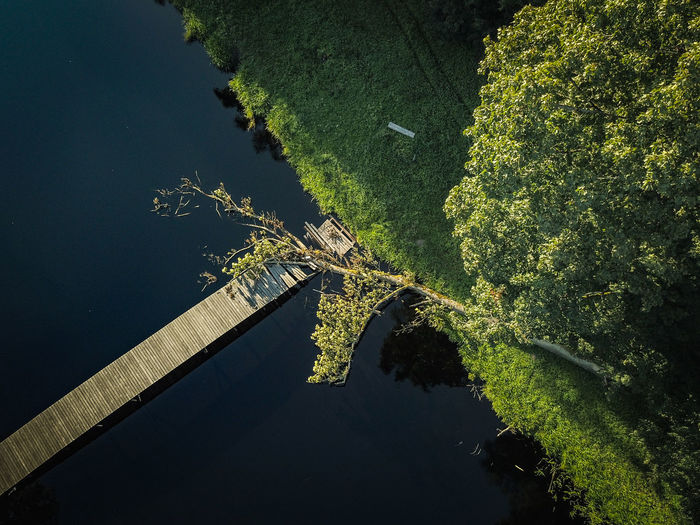 High angle view of pier over river in forest