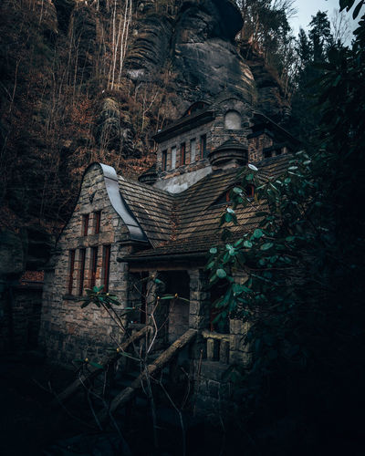 Low angle view of old building in forest