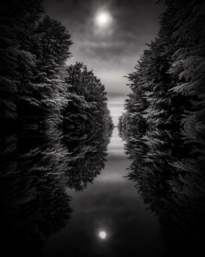Reflection of trees in water at night