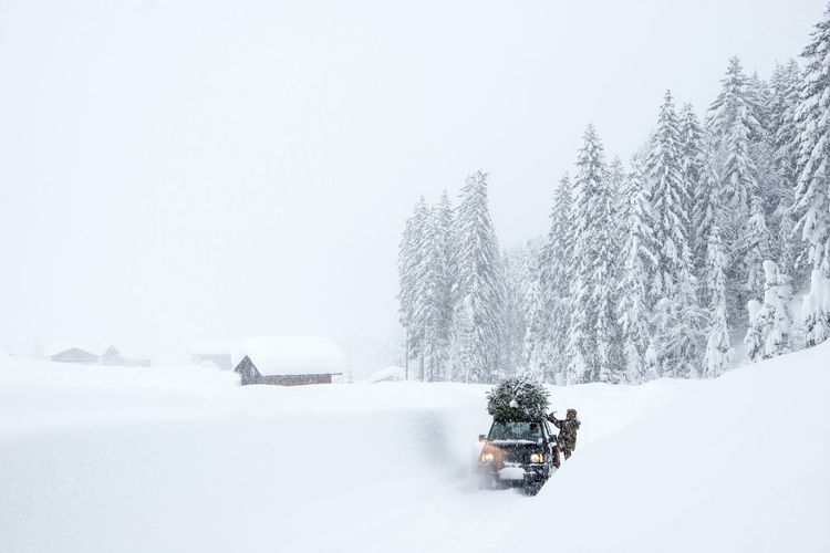 Austria, salzburger land, lammertal, man attaching christmas tree to car roof on snowy road