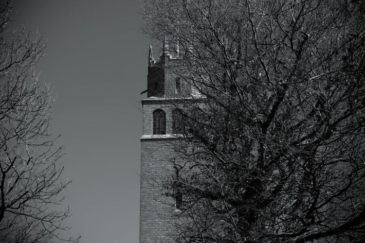 Bare tree by building against sky