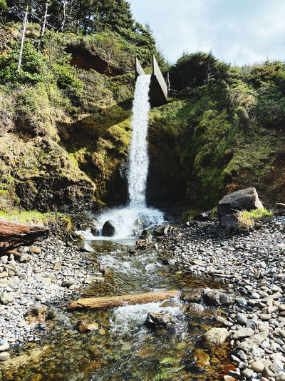Scenic view of waterfall in forest