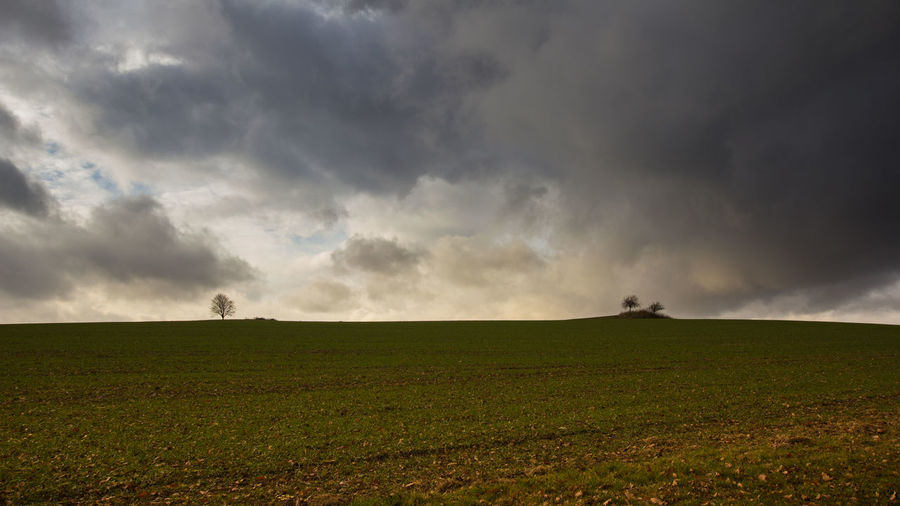 Scenic view of field against sky