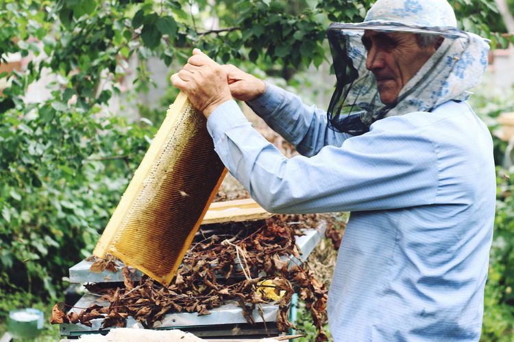 Side view of bee keeper holding beehive
