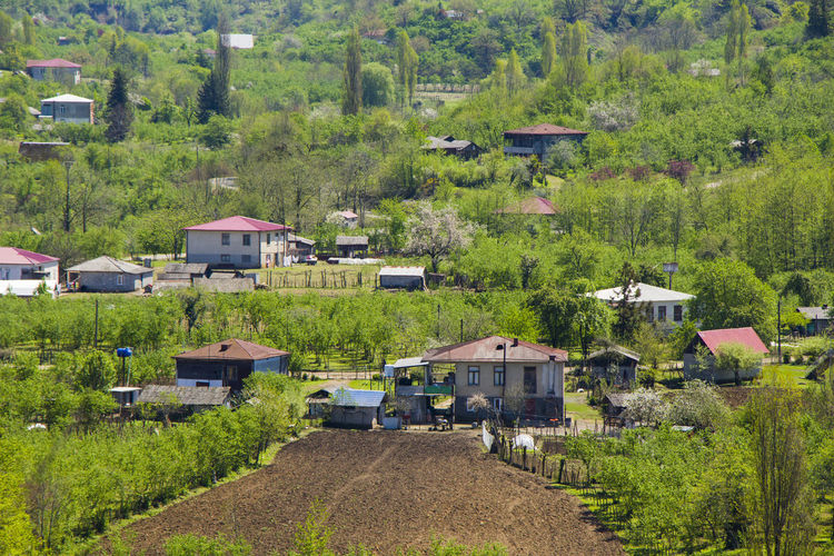 High angle view of houses amidst trees and buildings