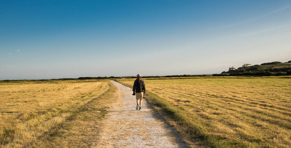 Rear view of man walking amidst grassy field against blue sky