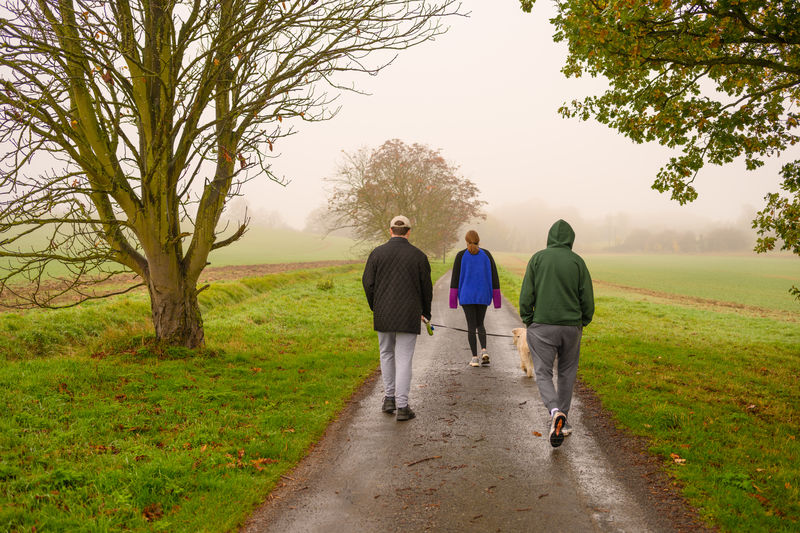 Rear view of people walking on road