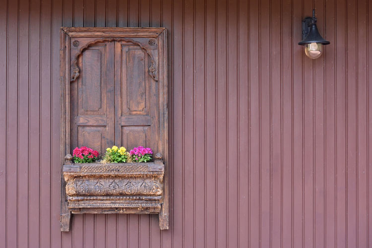 Flower pot against of wooden wall and window
