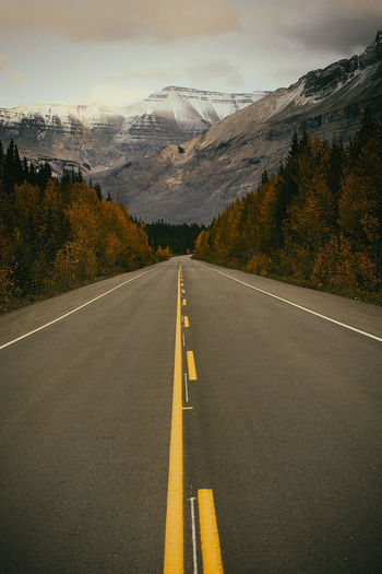 Canadian rockies highway iv, canada