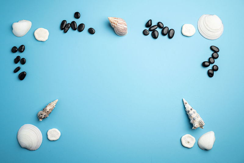 Ocean inspired flat lay composed of sea shells and star fish on blue