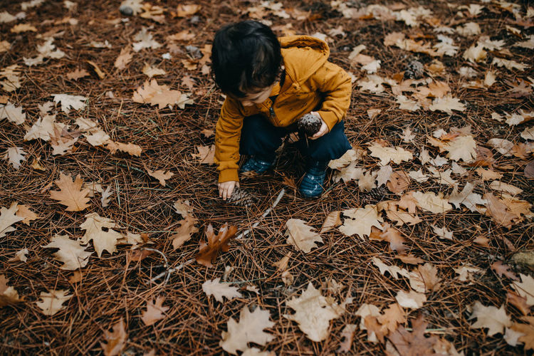 Child picking pine cones