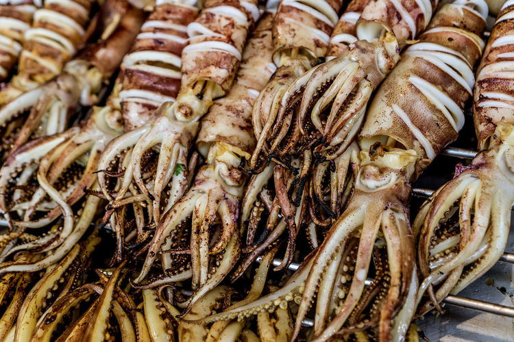 Full frame shot of cuttlefish for sale in market