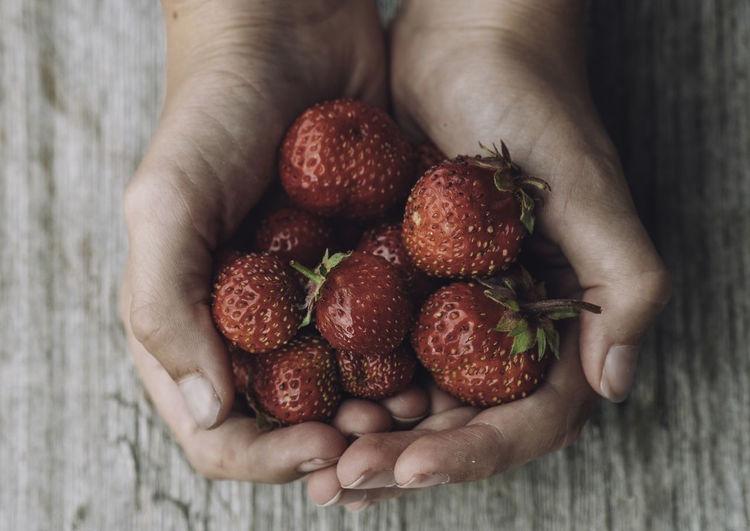 Close-up of strawberrys in child hands