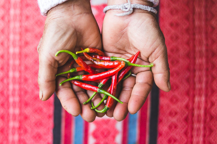 Cropped hands holding red chili peppers