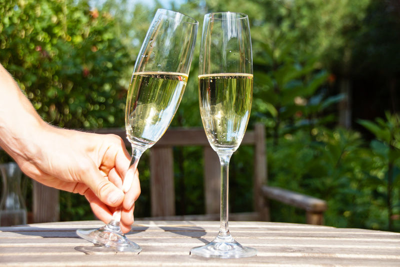 Cropped hand holding champagne flute