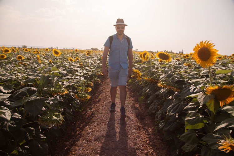 Portrait man wearing hat walking on sunflower field