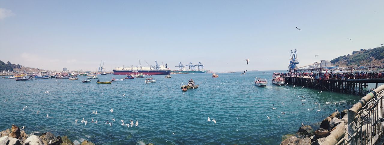 Boats moored in sea against clear sky