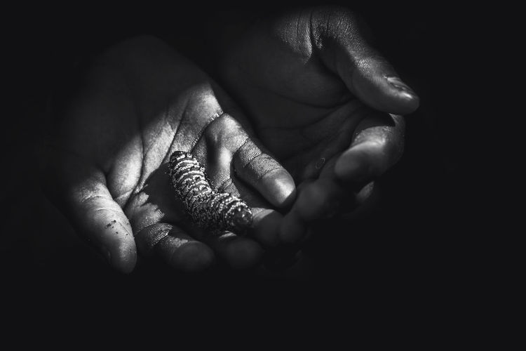 Cropped hands holding caterpillar in darkroom