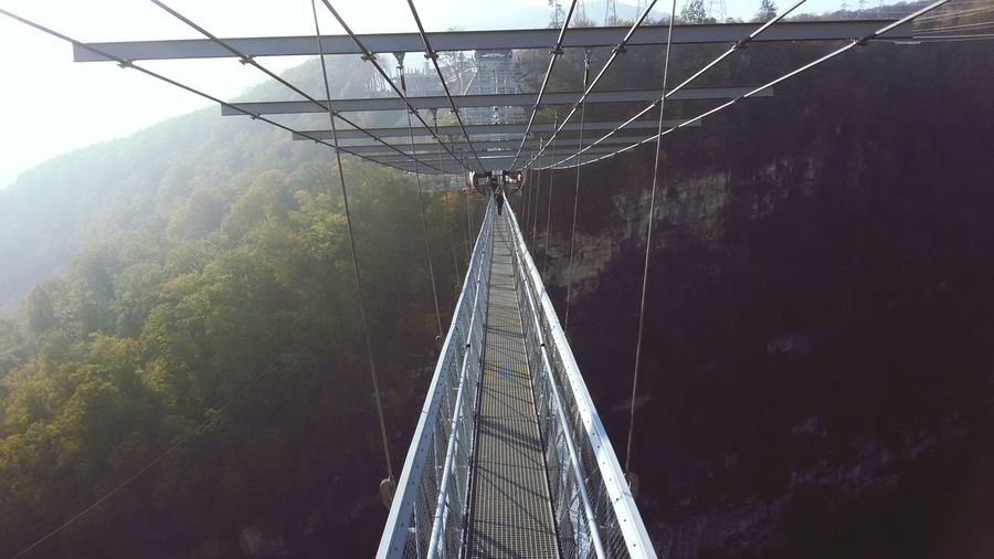 Footbridge against mountain at forest