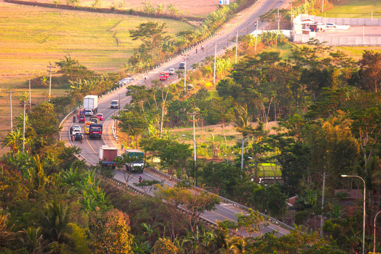 High angle view of vehicles on road along plants