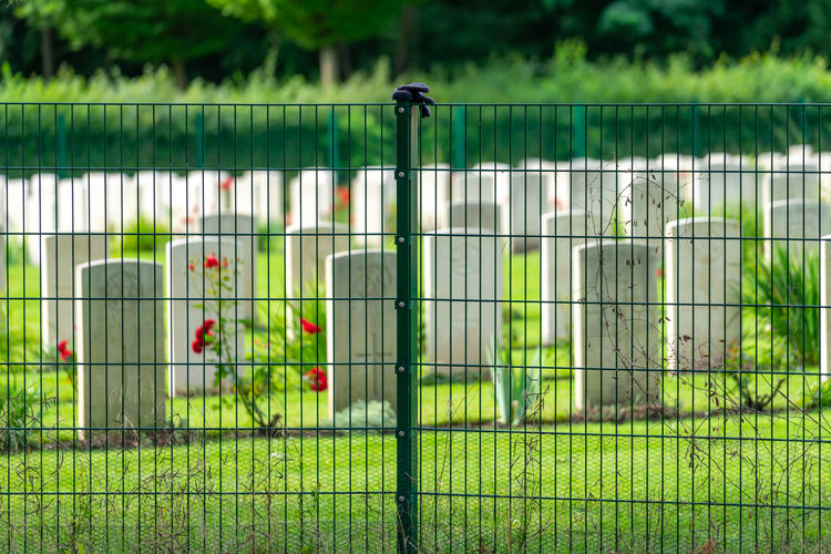 View of cemetry against fence