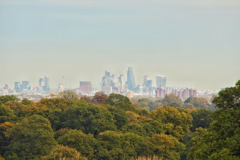 Trees and cityscape against sky
