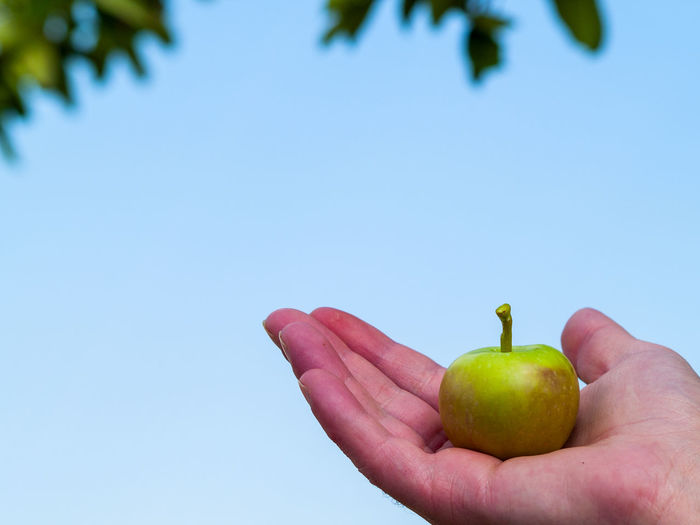 Close-up of hand holding apple against clear blue sky