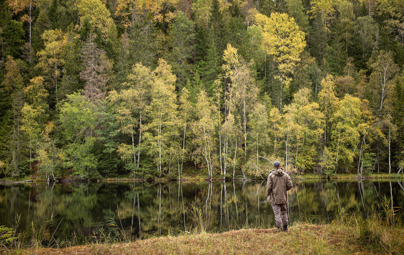 Rear view of man standing by trees in forest