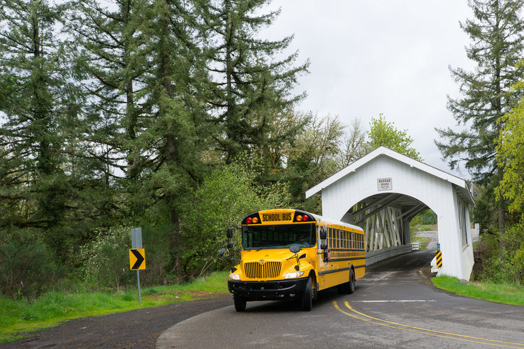 School bus moving on road
