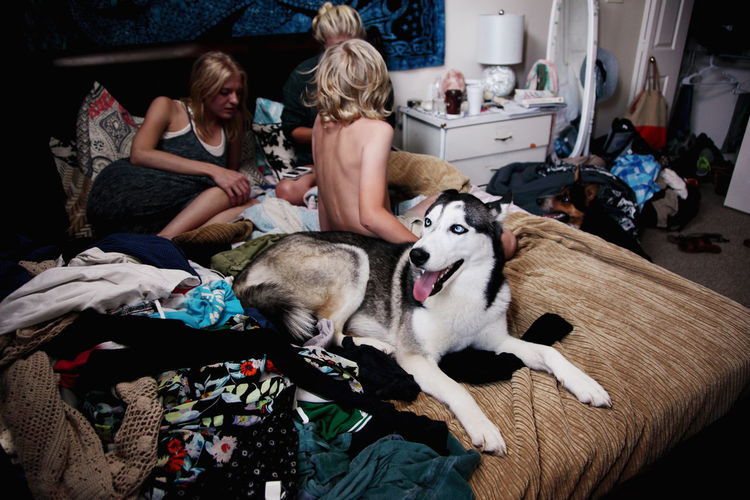Siblings with siberian husky on bed at home