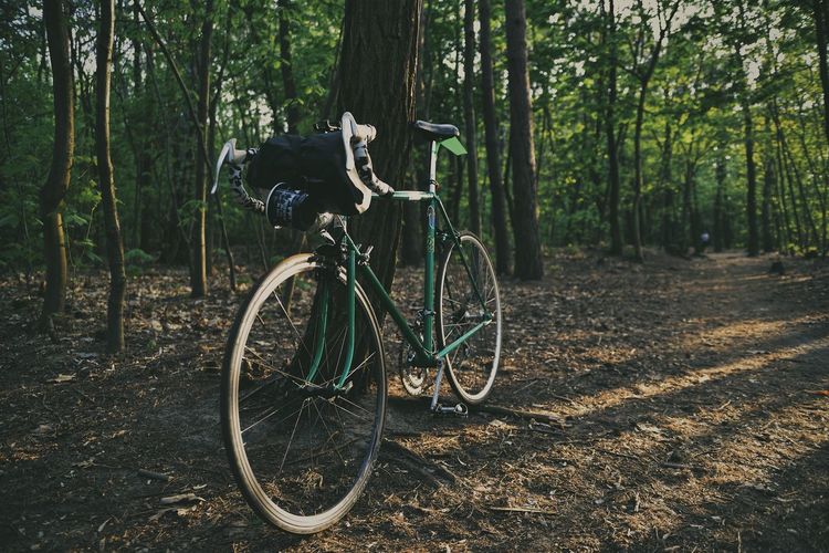 Bicycle on forest