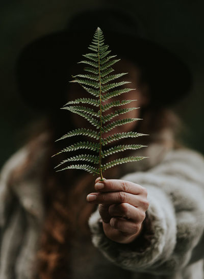 Close-up of woman holding leaf