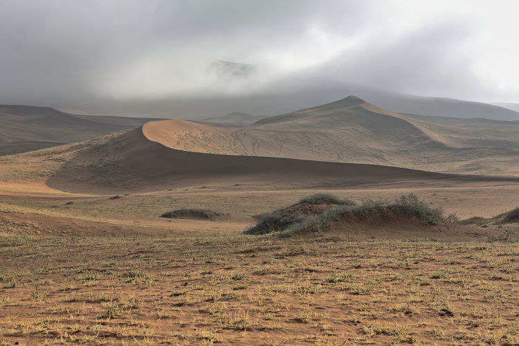 1135 early morning-misty light over the sand dunes of the badain jaran desert. inner mongolia-china.