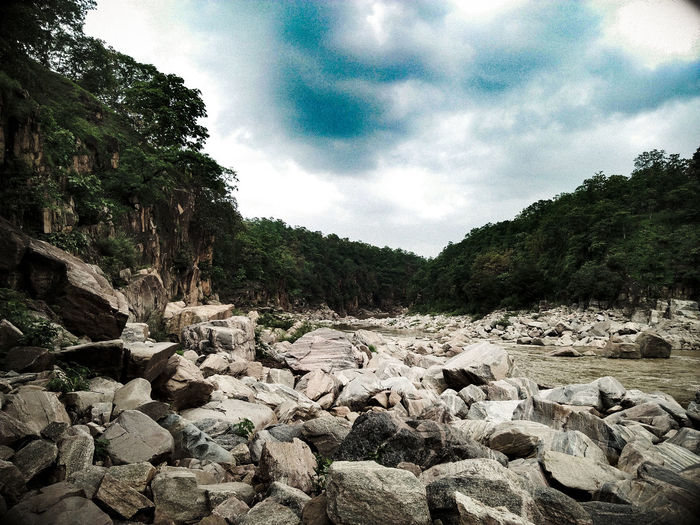 Rocks and trees in forest against sky