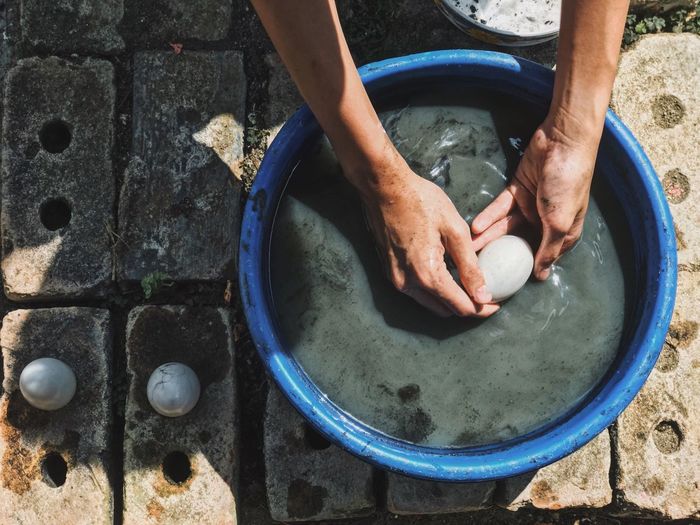 Cropped hands holding egg in tub