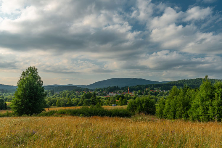 Scenic view of field against sky