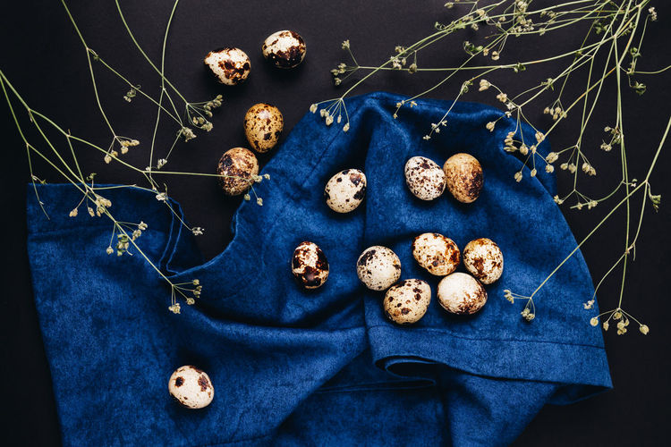 Quail eggs on the blue, dark fabric background with dry flowers. minimal concept of spring.