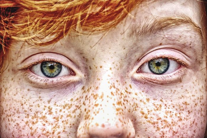 Close-up portrait of boy with freckles