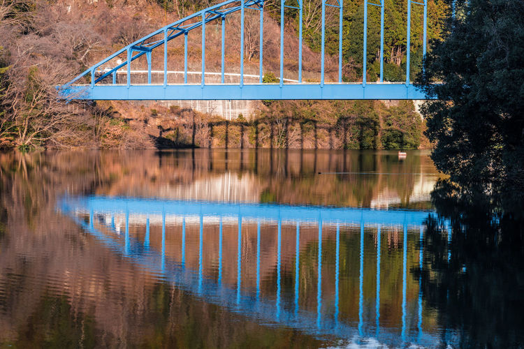 Bridge over river against trees