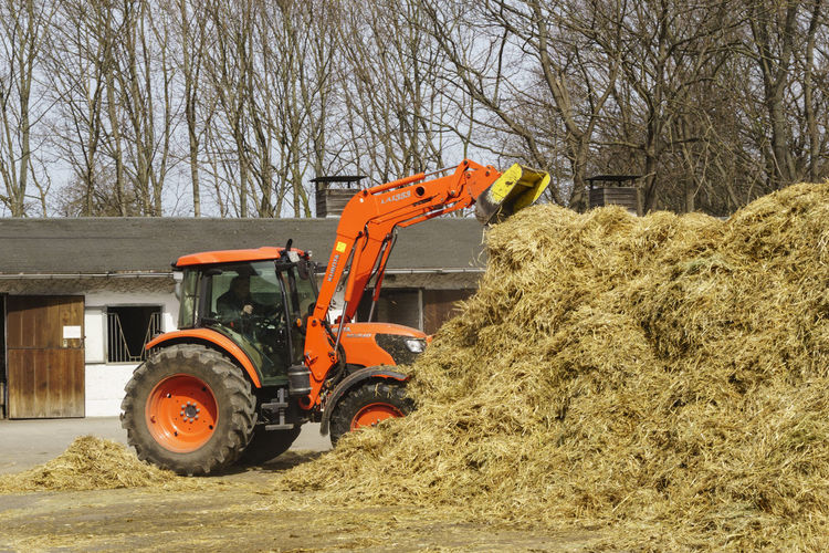 Man working with bulldozer by manure pile at farm