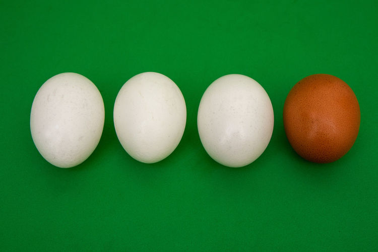 Directly above shot of eggs against blue background