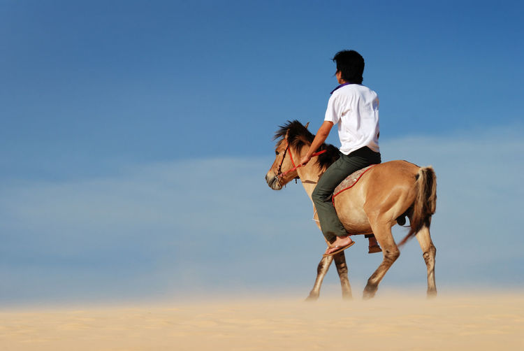 Rear view of a man riding horse on beach