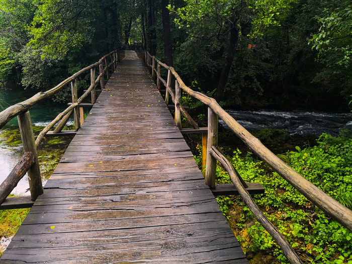 Wooden footbridge amidst trees in forest
